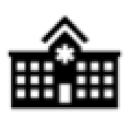 Icon 1